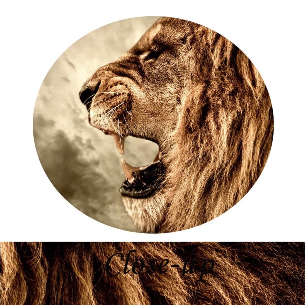 4 Panel Wall Art Lion On Canvas Stretched Ready To Hang 18.5” L x 12.99” W - Picture 4 of 4